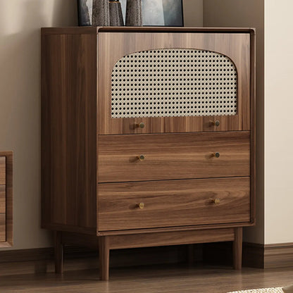 Mid-Century Modern Storage Cabinet for Parlor, Glass Door