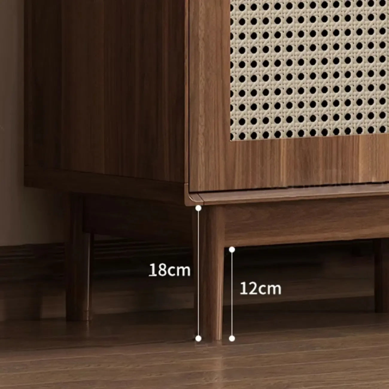 Mid-Century Modern Storage Cabinet for Parlor, Glass Door