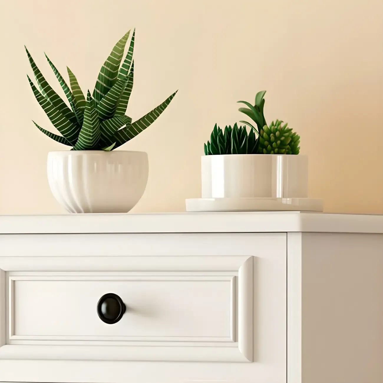 Modern Slim White Shoe Cabinet with Drawer for Hallway