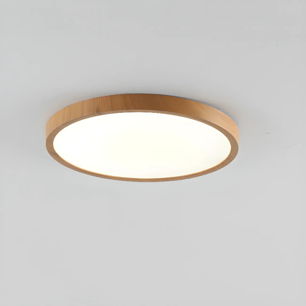 Simplistic Circular Acrylic Flush Ceiling Light in Dimmable