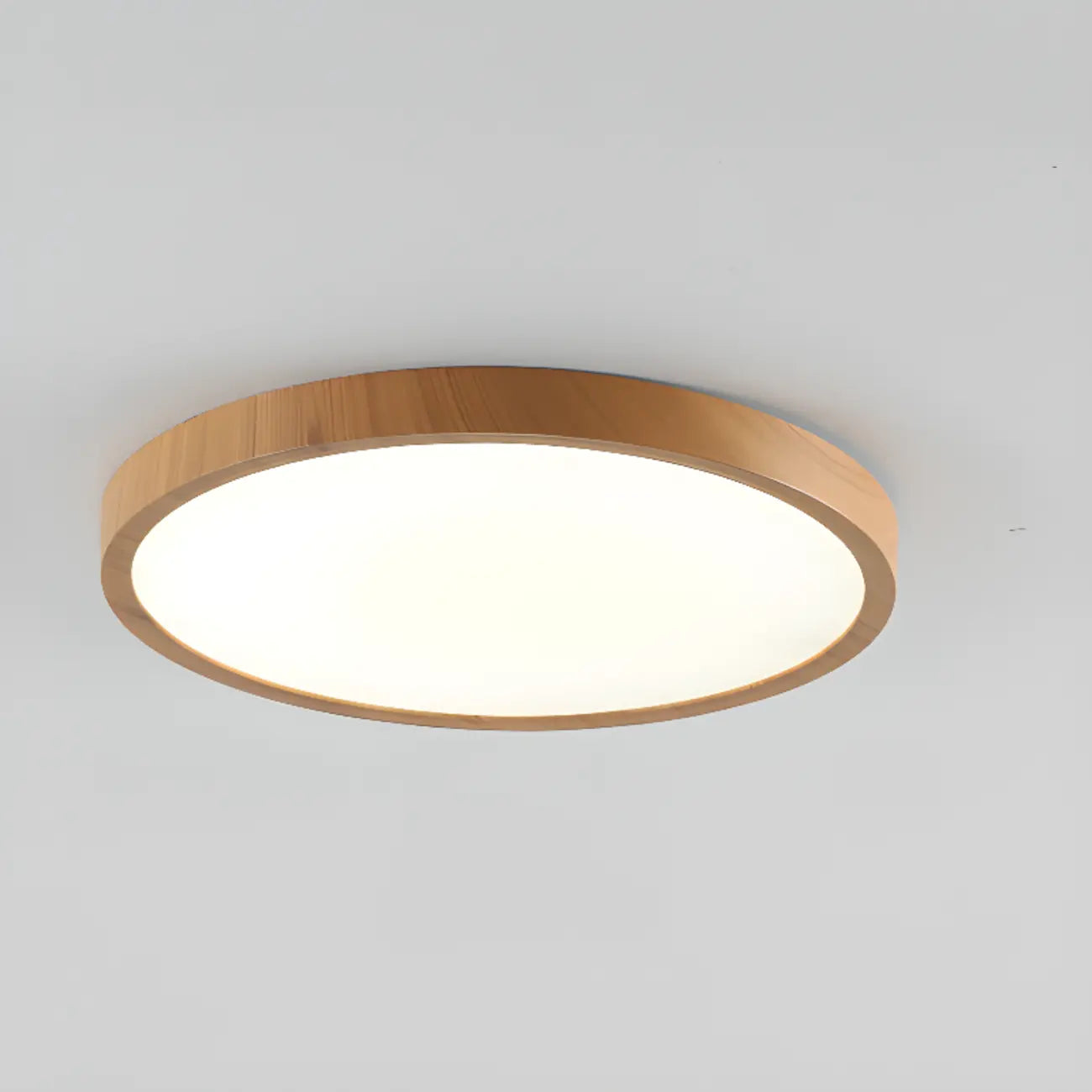 Simplistic Circular Acrylic Flush Ceiling Light in Dimmable
