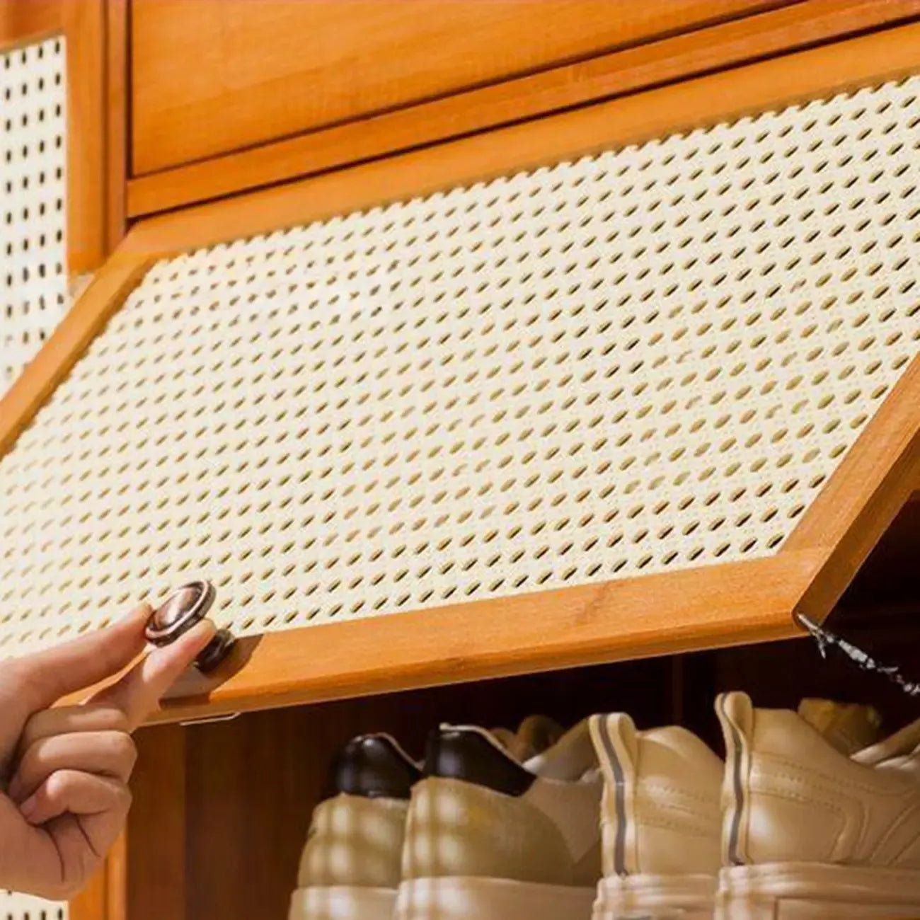 Bohemian Brown Wood Shoe Cabinet with Cane Doors