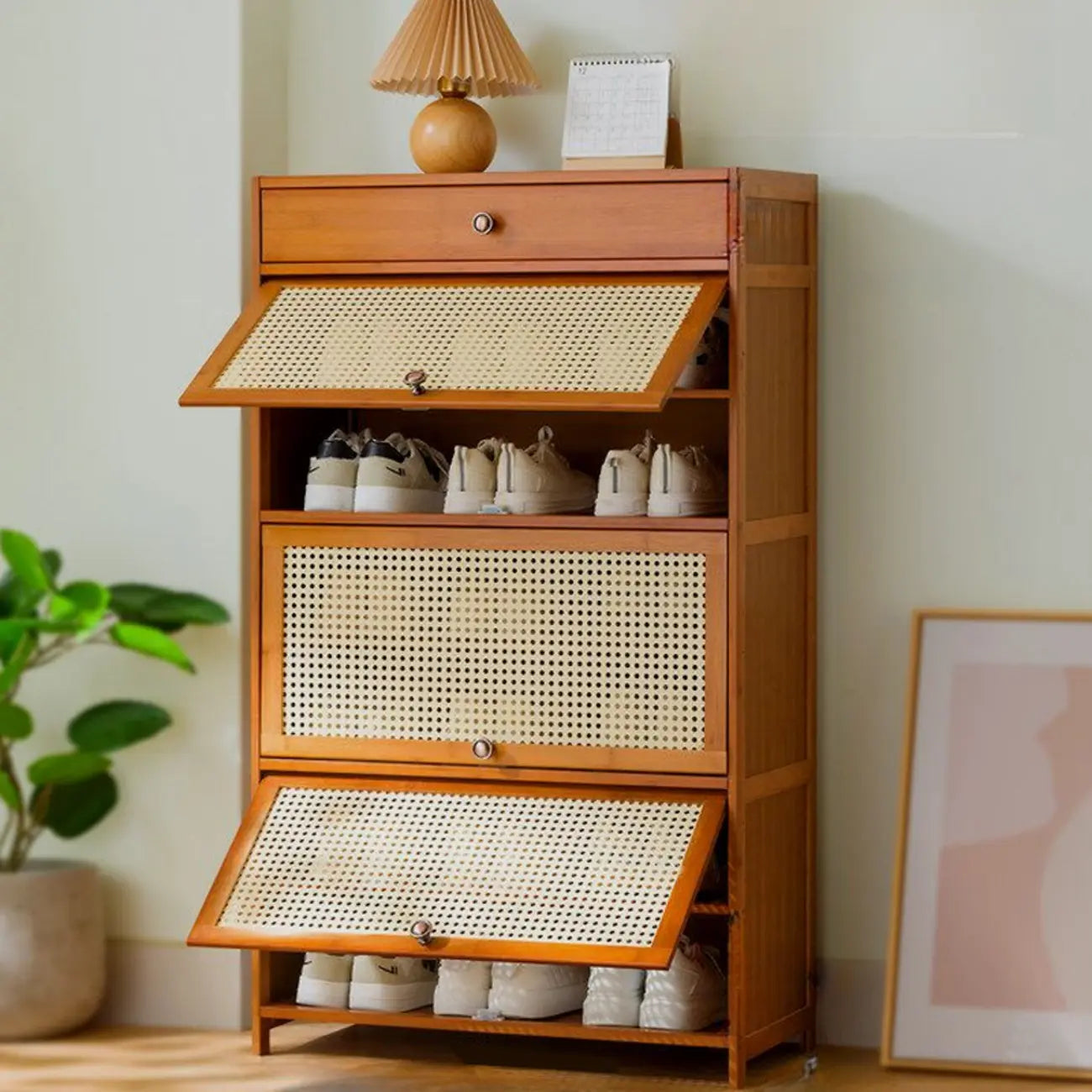 Bohemian Brown Wood Shoe Cabinet with Cane Doors