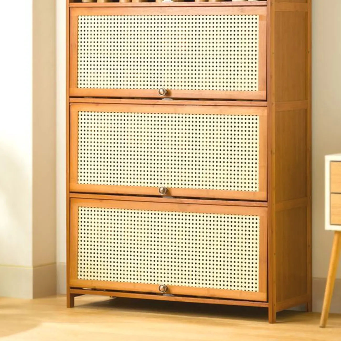 Bohemian Brown Wood Shoe Cabinet with Cane Doors