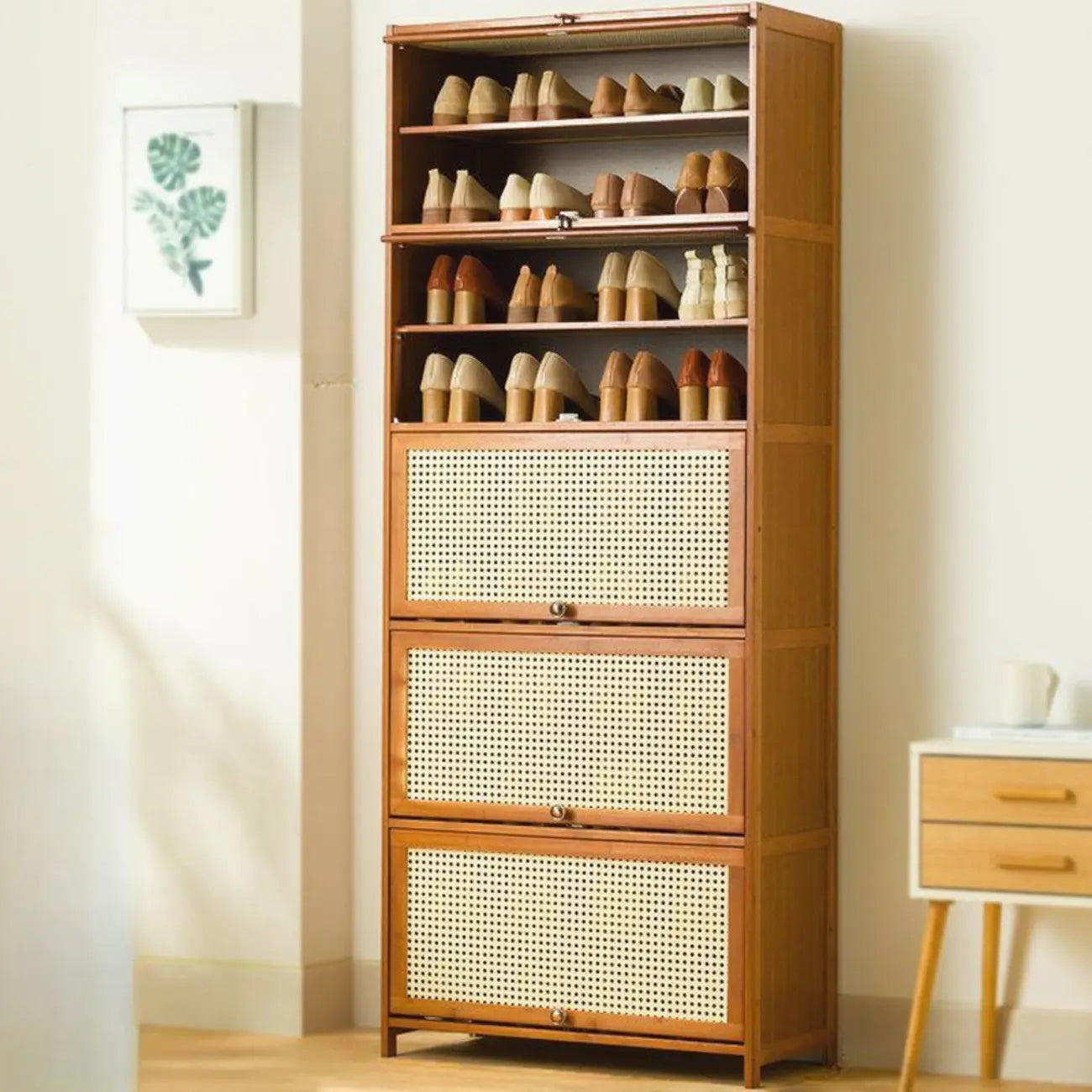 Bohemian Brown Wood Shoe Cabinet with Cane Doors