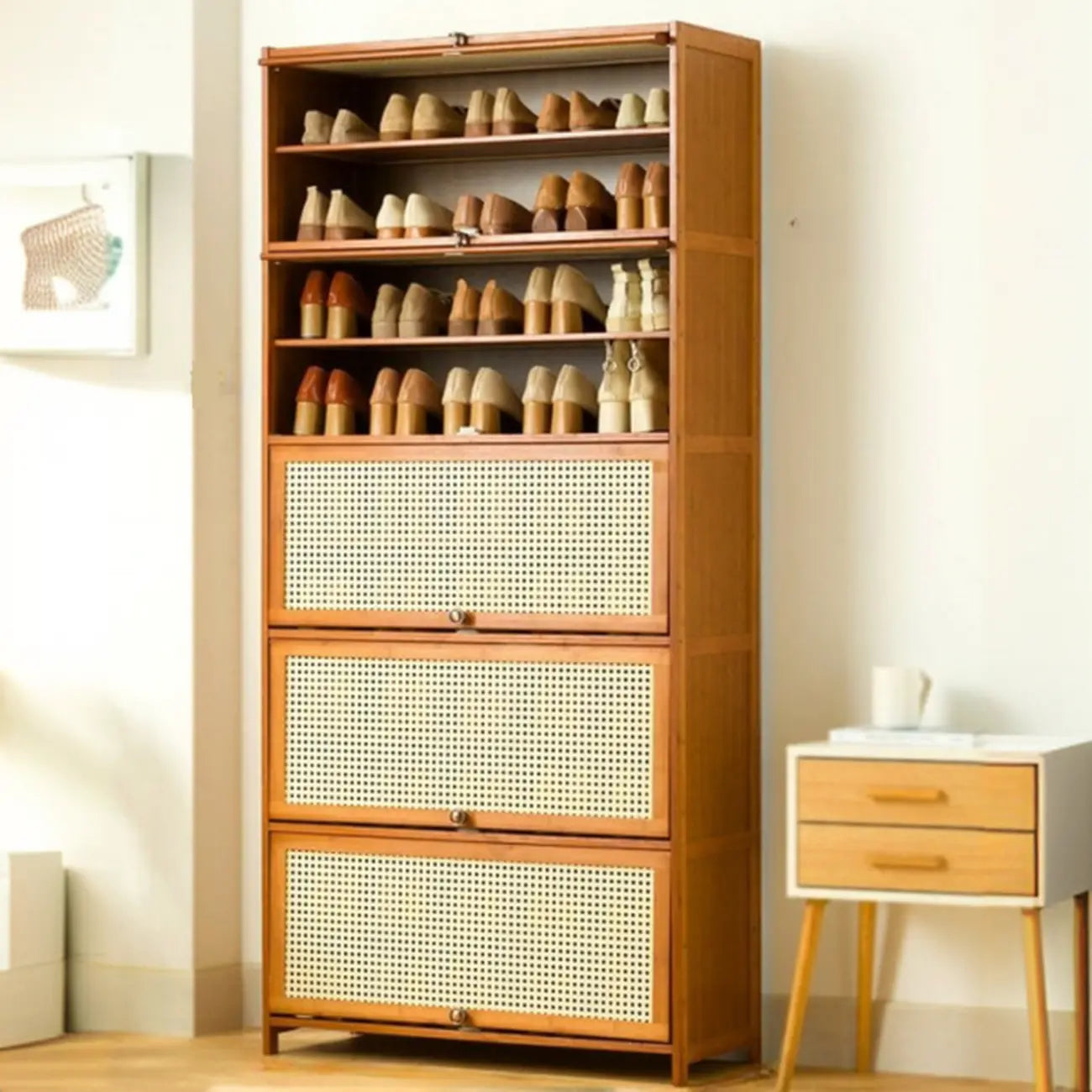 Bohemian Brown Wood Shoe Cabinet with Cane Doors