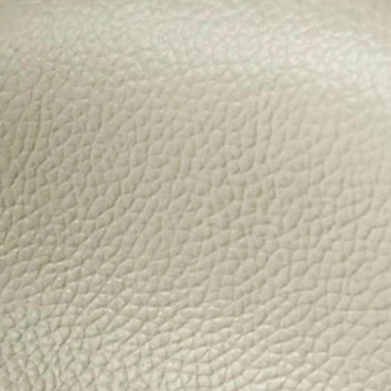 Modern Nappa Leather Solid Color Accent Chair with Arms