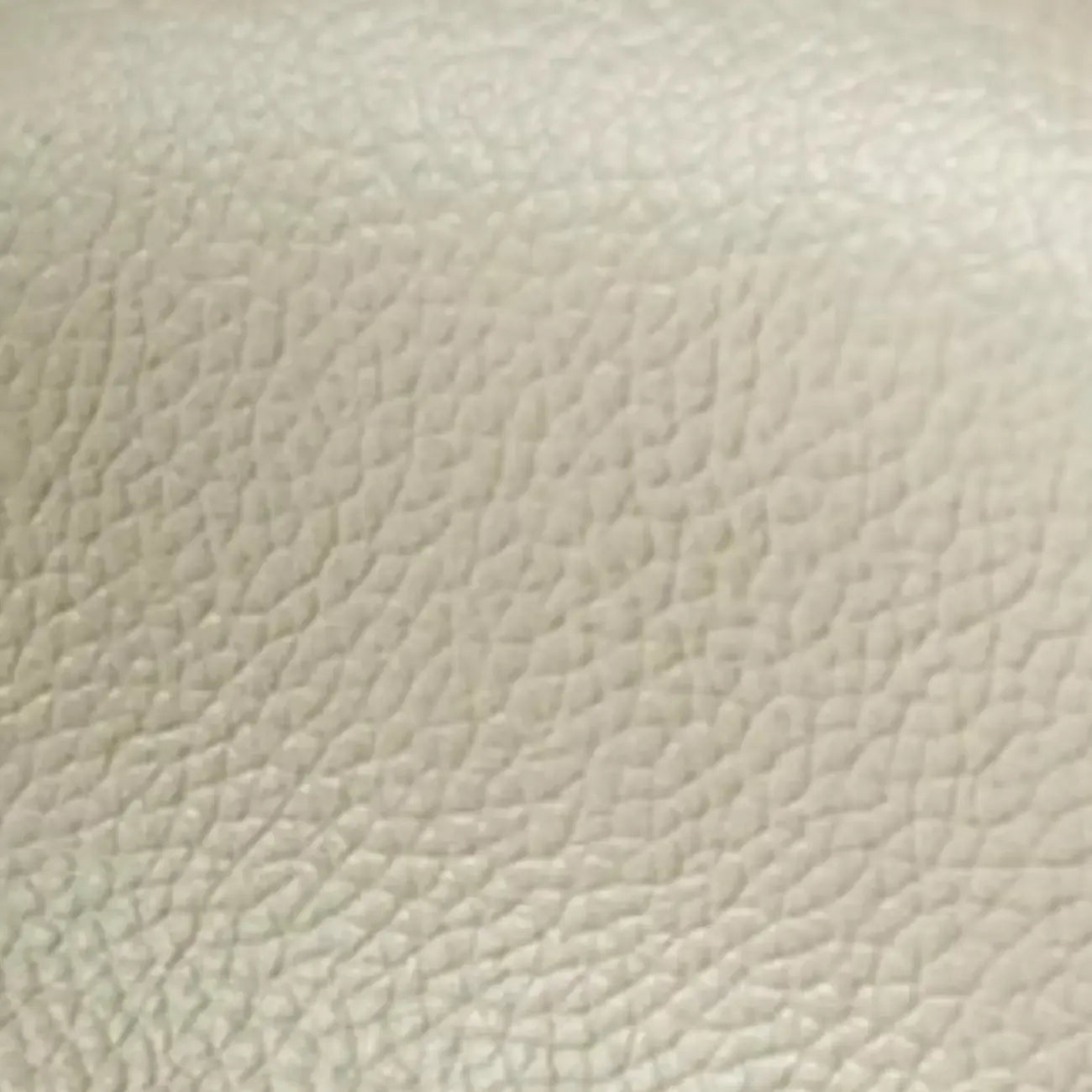 Modern Nappa Leather Solid Color Accent Chair with Arms